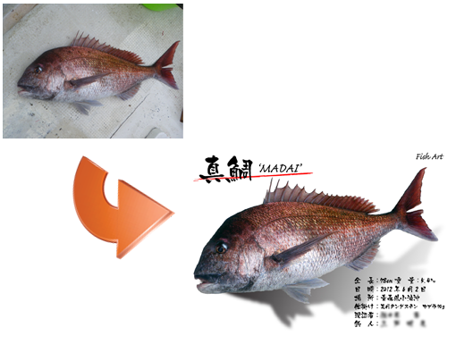 新作魚拓